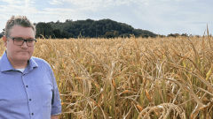 Computomics raises €6.3M to scale climate-smart plant breeding – Tech.eu