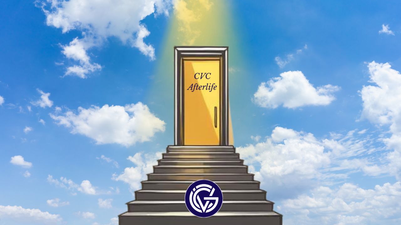The CVC afterlife – Global Venturing