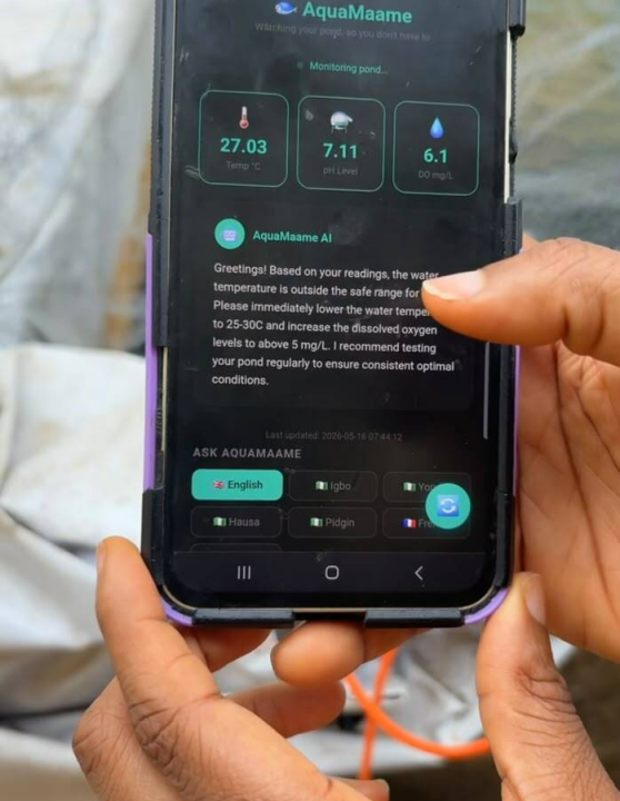 After 3,000 catfish died overnight, she turned to AI to protect her mother’s farm – TechCabal