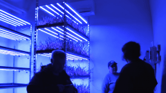From Oatly to agritech: inside Sweden’s evolving foodtech ecosystem – Tech.eu
