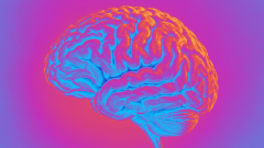 Brain fog, missed diagnoses, and lost careers: The menopause gap Cerebella wants to close – Tech.eu
